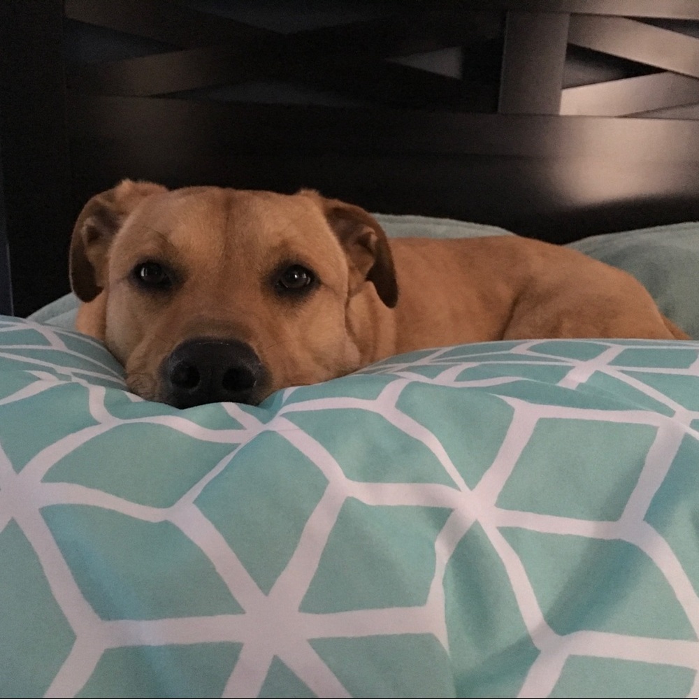 Meet your Posher, Danielle